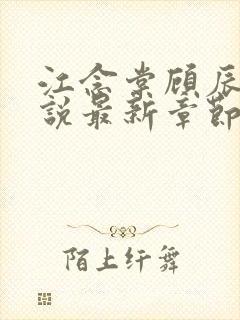 江念棠顾辰聿小说最新章节免费阅读