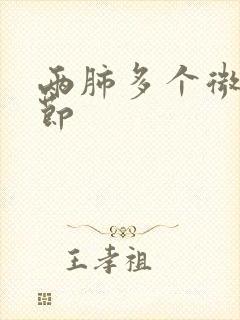 两肺多个微小结节