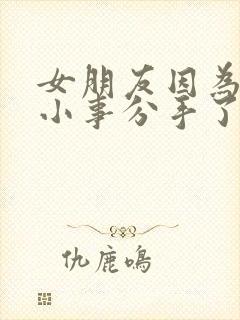 女朋友因为一些小事分手了怎么挽回