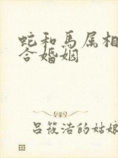 蛇和马属相合不合婚姻