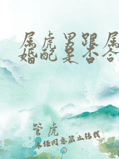 属虎男跟属龙女婚配是否合适