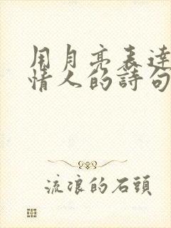 用月亮表达思念情人的诗句