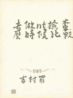 去做nt检查什么时候比较合适