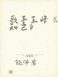 歌手王峰《红颜知己》