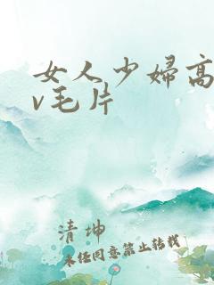 女人少妇高潮av毛片