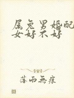 属兔男婚配属牛女好不好