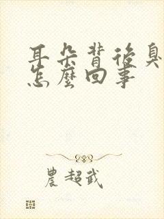 耳朵背后臭臭的怎么回事