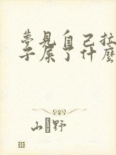 梦见自己拉裤兜子屎了什么预兆