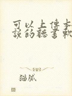 可以上传本地小说的听书软件