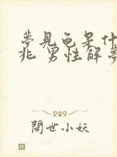 梦见龟是什么预兆 男性解梦