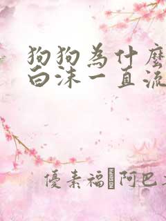 狗狗为什么口吐白沫一直流口水