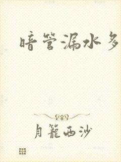 暗管漏水多少钱