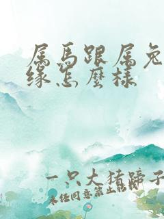 属马跟属兔的姻缘怎么样