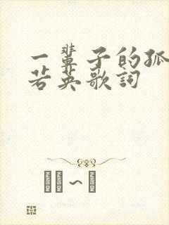 一辈子的孤单刘若英歌词