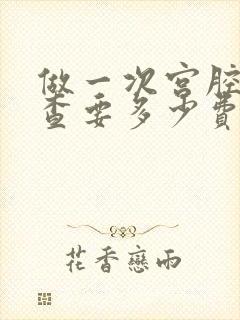 做一次宫腔镜检查要多少费用