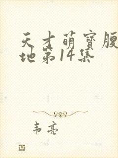 天才萌宝腹黑爹地第14集