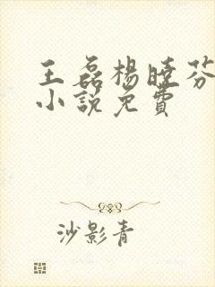 王磊杨晓芬王森小说免费