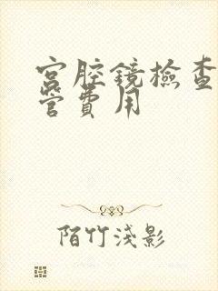 宫腔镜检查输卵管费用