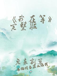 《我在等》歌词完整版