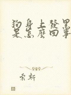 狗身上发黑掉毛是怎么回事