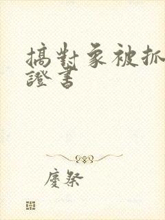 搞对象被抓的保证书