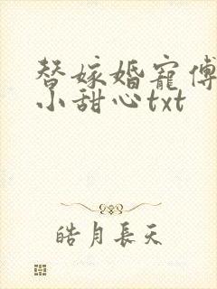 替嫁婚宠傅少的小甜心txt