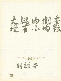 大腿内侧睾丸旁边有小肉粒