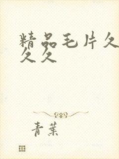 精品毛片久久久久久