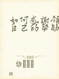 如何感谢领导对自己的帮助