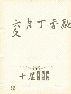 六月丁香欧美久久