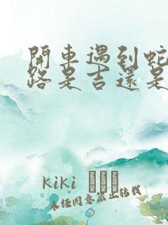 开车遇到蛇过马路是吉还是凶