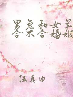 男兔和女羊属相合不合婚姻