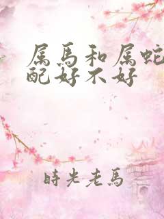 属马和属蛇的婚配好不好