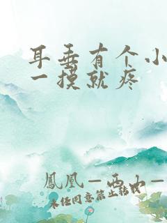 耳垂有个小鼓包一摸就疼