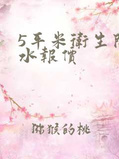 5平米卫生间防水报价