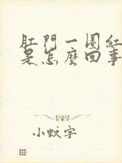 肛门一圈红肿疼是怎么回事