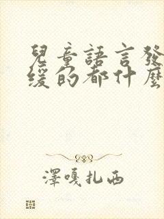 儿童语言发育迟缓的都什么表现