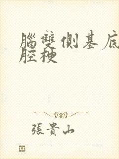 脑双侧基底节区腔梗