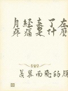 月经来了左下腹疼痛是什么原因