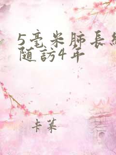 5毫米肺长结节随访4年