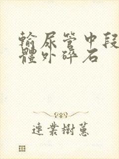 输尿管中段结石体外碎石