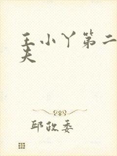王小丫第二任丈夫