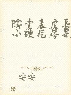 阴囊表皮长了个小硬疙瘩是怎么回事