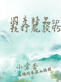 国产精品sp调教打屁股95