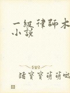 一级律师木苏里小说