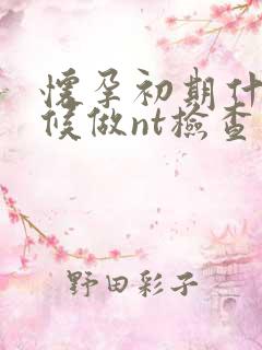 怀孕初期什么时候做nt检查