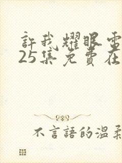 许我耀眼电视剧25集免费在线观看