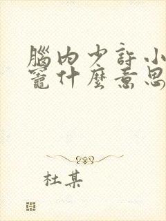 脑内少许小缺血灶什么意思