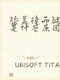 膝盖后面腿弯疼是什么原因