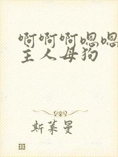 啊啊啊嗯嗯嗯奶主人母狗